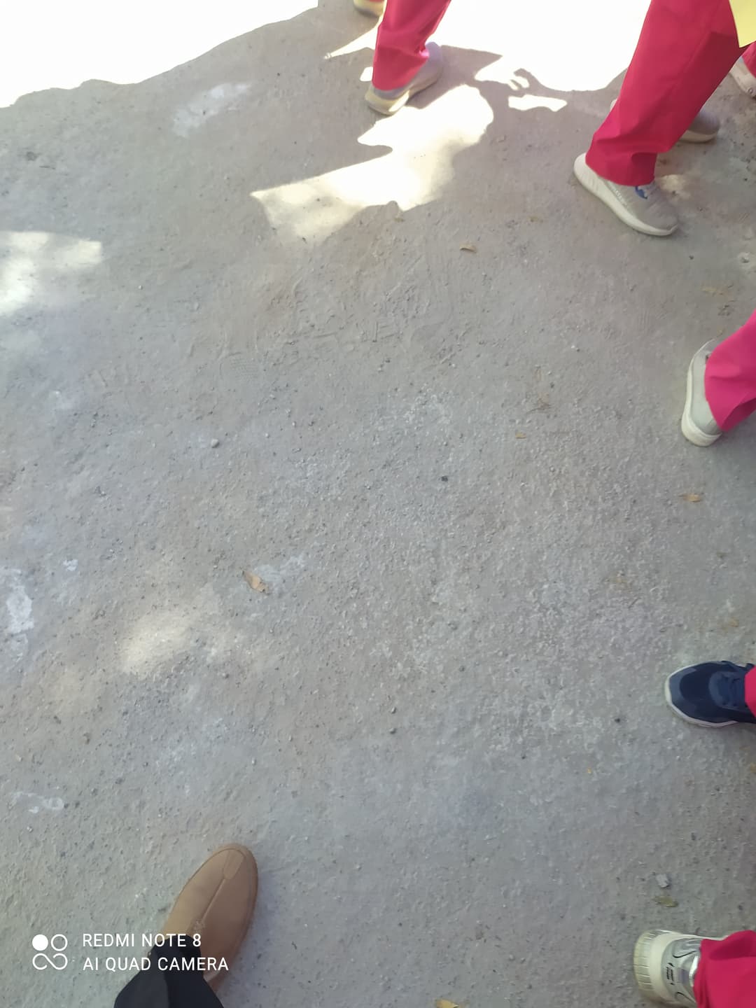تصویر مقاله