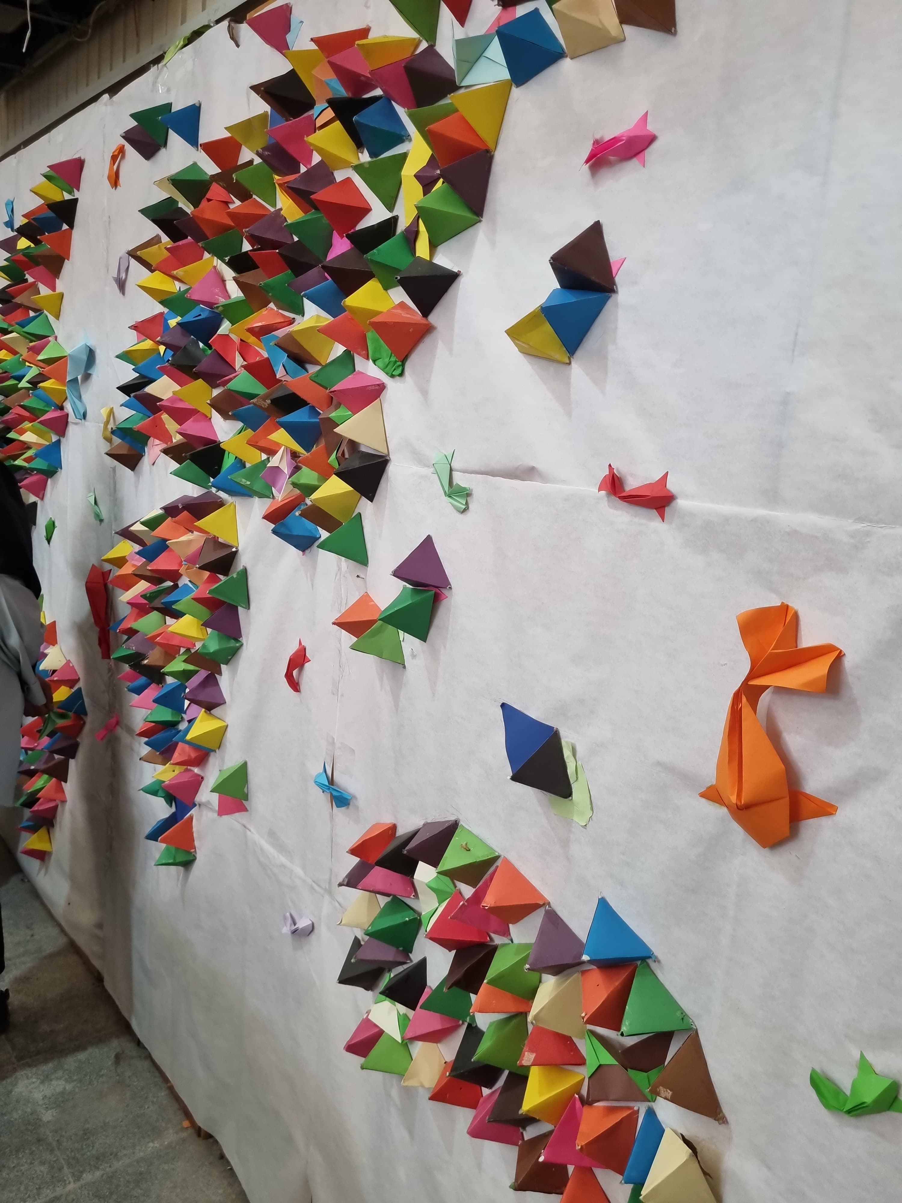 اردو علمی  دانشگاه هرمزگان  