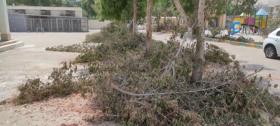 تصویر مقاله