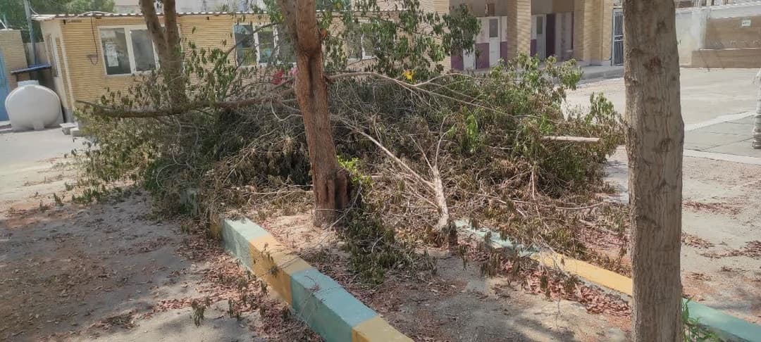 تصویر مقاله