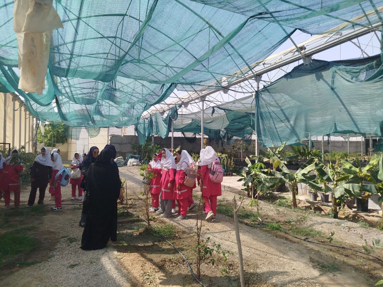 اردو گلخانه