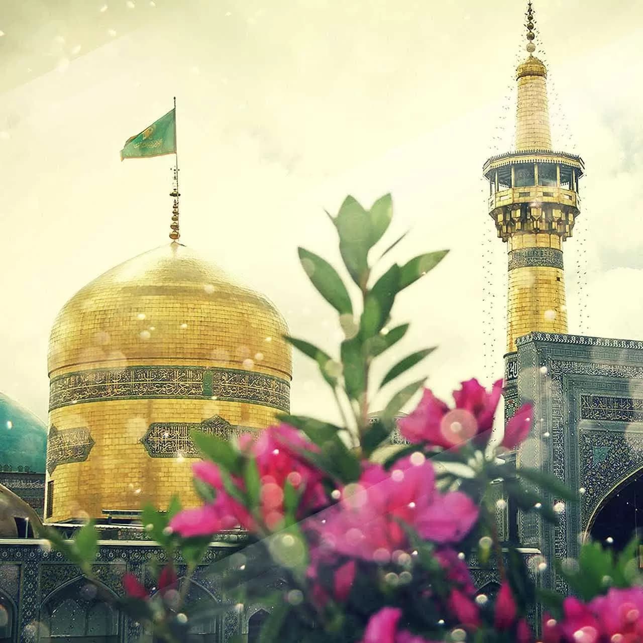 شعر امام رضا (ع) دستی که خورده بر حرمت بال میشود هر دل شکسته پیش توخوشحال میشود هرگاه میروم به حرم درد دل کنم آنجا زبان حاجت من لال میشود